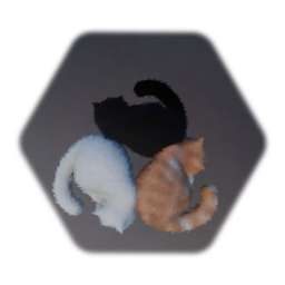 Fluffy Cats