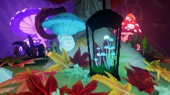 Mushrooms in the Dark