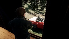 Dream cut scene