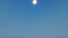 A screenshot taken in Dreams. 7 of 25.