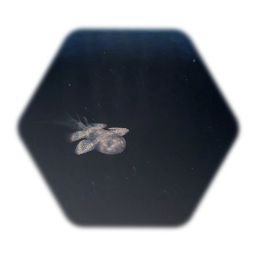 Underwater Effects
