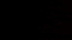 The path to the city(part 1)