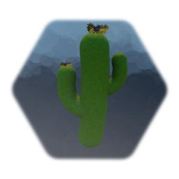 Cactus