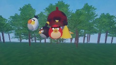 Angry birds Splash Screen