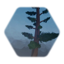 Pine tree