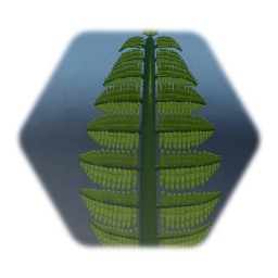 Fern leaf / Hoja de helecho