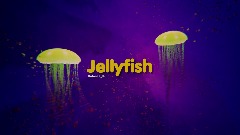 Jellyfish