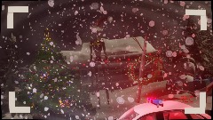 Siren Head in the woods