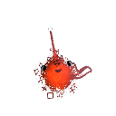 sifernifer