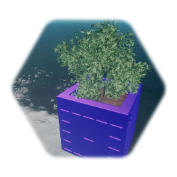 Potted Plant (11)