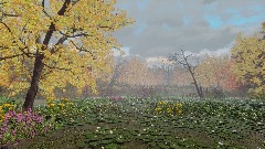 Marshland Autumn Hike