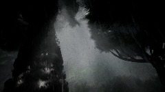 Rainy Forest (V.03)