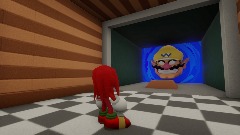 Knuckles The Echidna 12