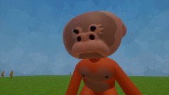 My Creation - 23/8/2026