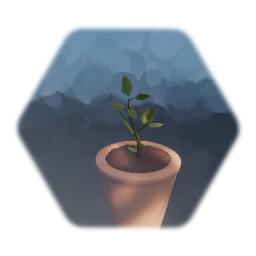Potted Plant