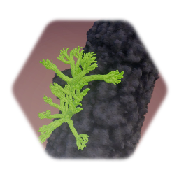 Community Garden 2.7: Lichen & Log