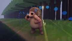 Hedgehog crying