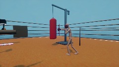 Boxing train