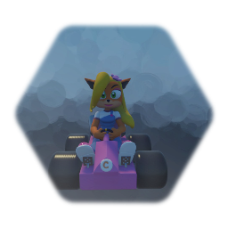 Coco bandicoot in a go Kart