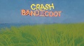 Crash bandicoot Levels