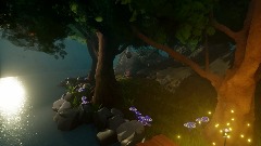 Springtime in the Woods