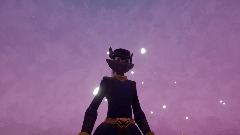 Sly Cooper Treasure Hunt!