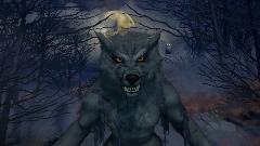 The Night Of The Werewolf