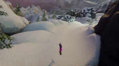 Snowboard