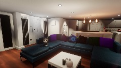 My Cat in my liveing room\kitchen