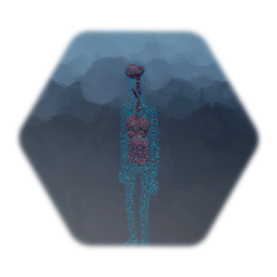 Human Anatomy / Organs