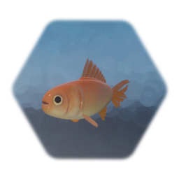 Small Goldfish