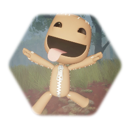 Sackboy