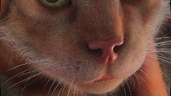 A screenshot taken in Dreams. 12 of 20.