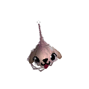 JekTC