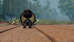 First steps