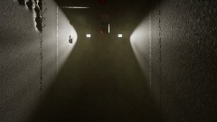 An Unusual Walk Home