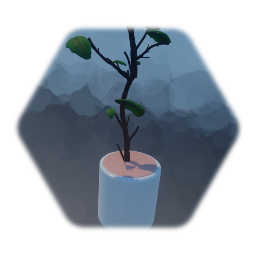 Plant pot