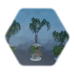 Potted Plants with Palm Tree