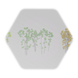 Cottonwood Cluster Seasons