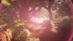 Forest #DreamWalk
