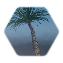 Odd palm tree