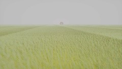 Level 10 Field of Wheat