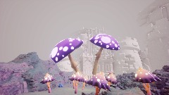 Curiositine (Teaser)