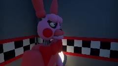 Layla the bunny showcase