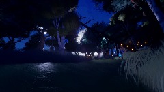 Enchanted Forest