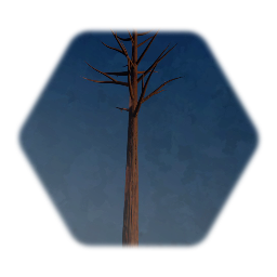 Simple Tree