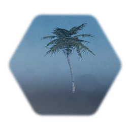 Palm Tree 1 Background
