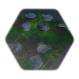 Grass, Dirt & Rock Patch