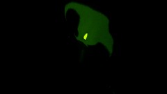 A screenshot taken in Dreams. 4 of 8.