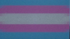 A screenshot taken in Dreams. 1 of 3.